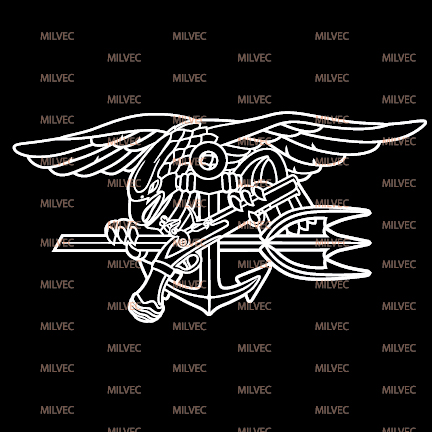 Navy SEALs