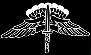 Freefall High Altitude Low Opening (HALO) badge Vinyl Decal