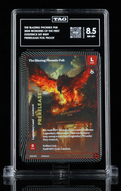 THE BLAZING PHOENIX PUB