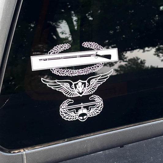 combat infantry badge cib, air assault, and aviation crew member wings