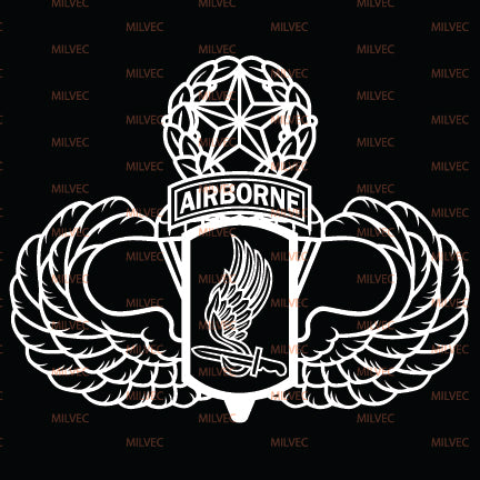 173rd Airborne BCT patch with Master Wings vinyl decal