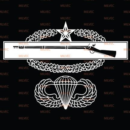 Combat Infantry Badge 2nd (CIB) Airborne Vinyl Decal