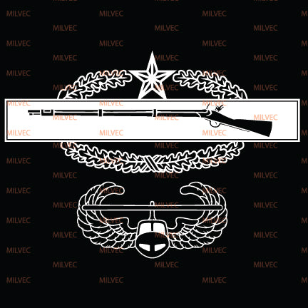 Combat Infantry Badge (CIB) 2nd Air Assault Vinyl Decal