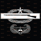 Combat Infantry Badge (CIB) 2nd Air Assault Vinyl Decal
