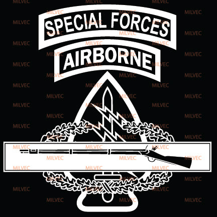 Combat Infantry Badge Black And White
