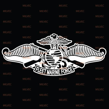 Fleet Marine Force FMF Graphic